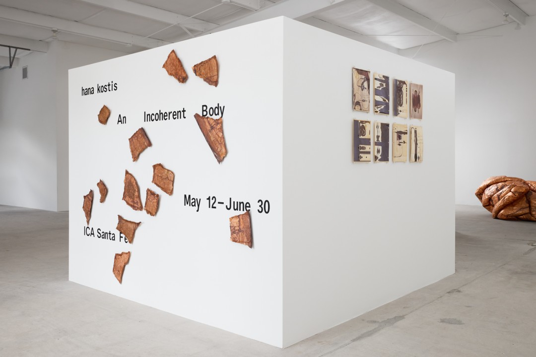 hana kostis: An Incoherent Body
