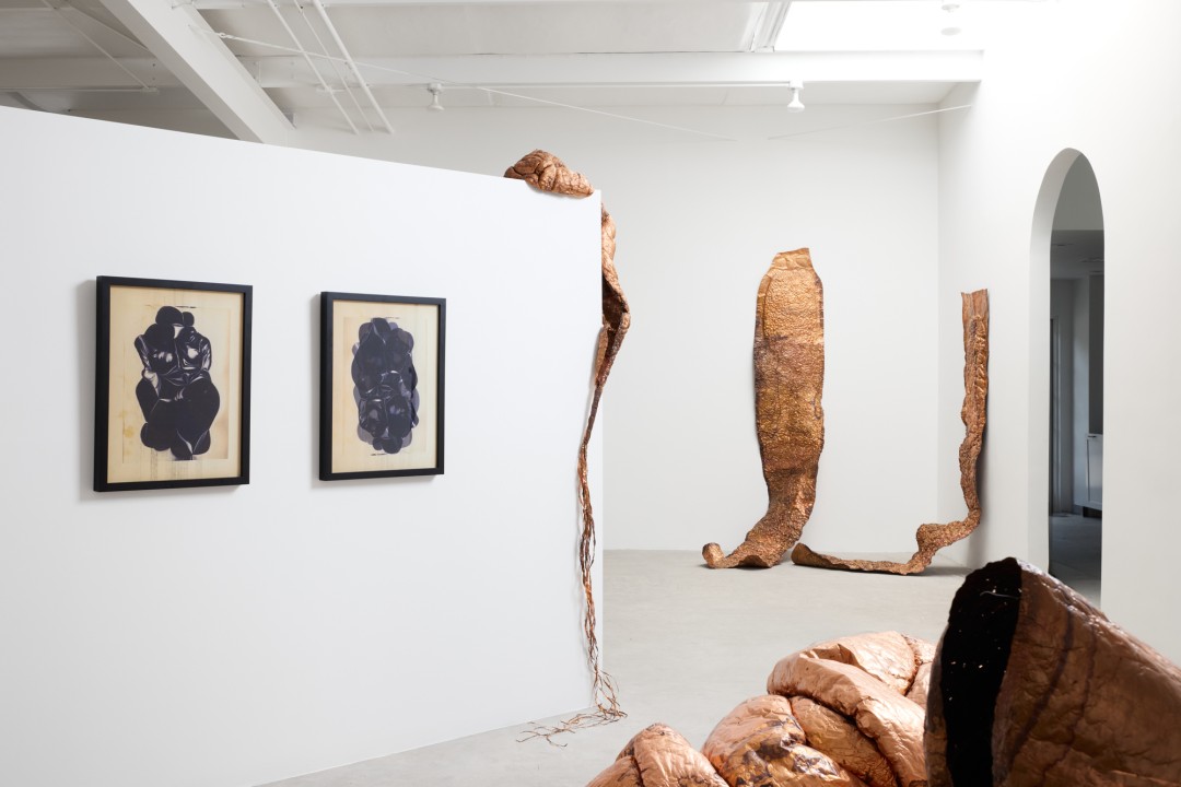 hana kostis: An Incoherent Body