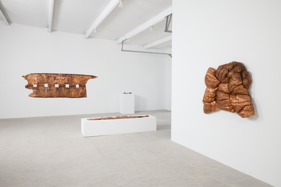 hana kostis: An Incoherent Body