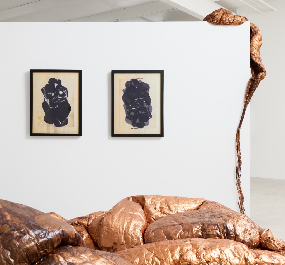 hana kostis: An Incoherent Body