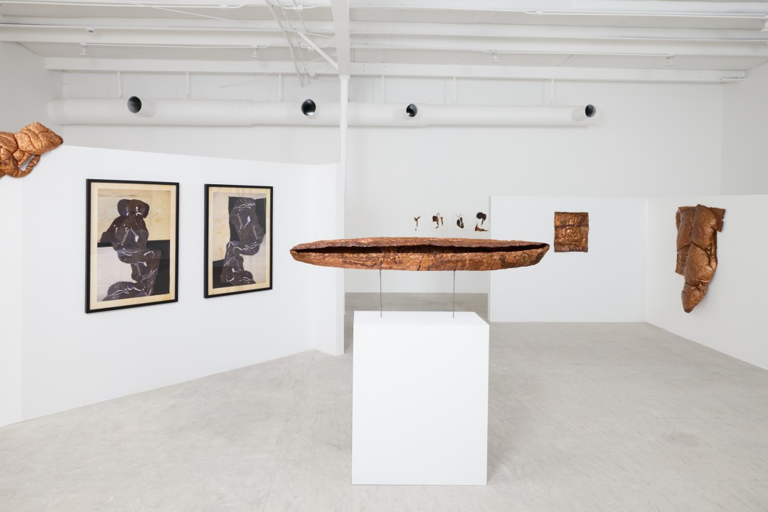 hana kostis: An Incoherent Body