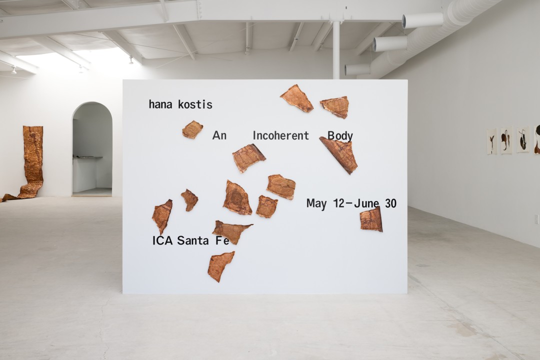 hana kostis: An Incoherent Body