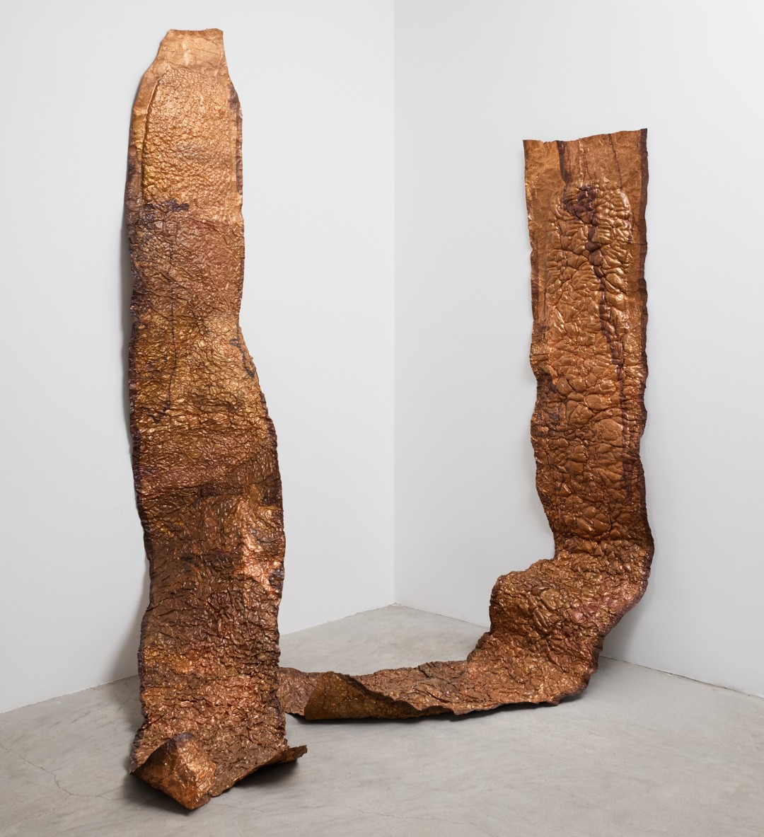 hana kostis: An Incoherent Body