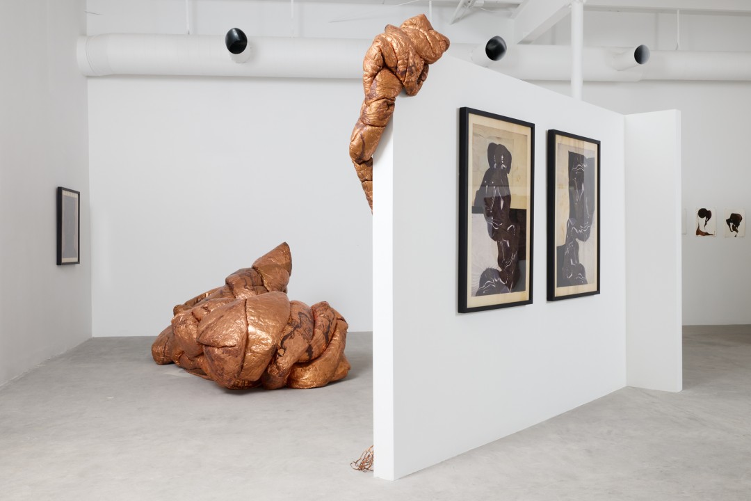 hana kostis: An Incoherent Body
