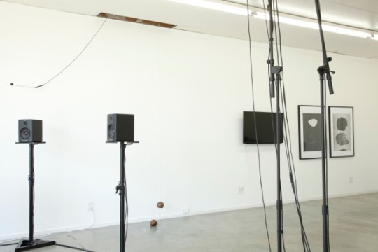 The Third Ear, Jules Gimbrone, Chiara Giovando, Mette Hersoug, Alison O'Daniel, John Wiese