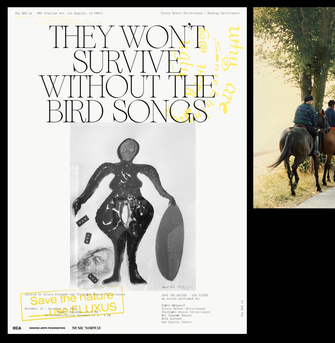 THEY WON&rsquo;T SURVIVE WITHOUT THE BIRD SONGS